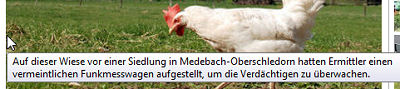 Screenshot: ahlener-zeitung.de Auf dieser Wiese vor einer Siedlung in Medebach-Oberschledorn hatten Ermittler einen vermeintlichen Funkmesswagen aufgestellt, um die Verdächtigen zu überwachen.